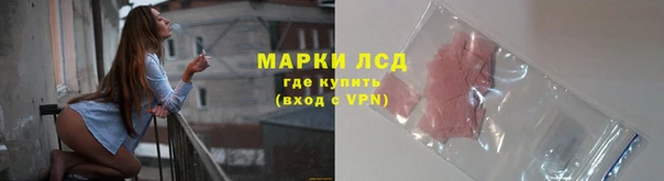 стаф Абинск