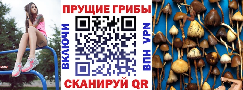 даркнет сайт  Белый  Галлюциногенные грибы прущие грибы 